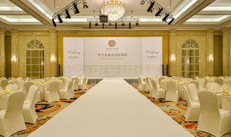會議服務(wù) 從基礎(chǔ)會議到綜合展覽的專業(yè)化支持