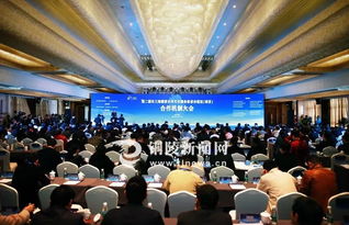 聚焦湖光山色，賦能發(fā)展新引擎——長三角重量級大會在銅陵開幕