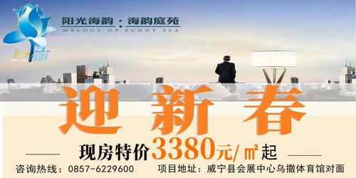 威寧倡議 攜手共筑‘暖新’群體服務網絡，匯聚社會經濟組織力量