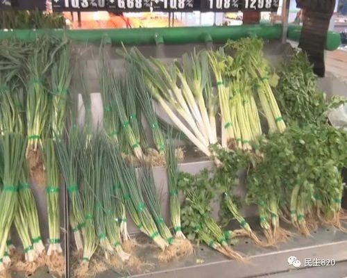 舌尖上的守護(hù) 食用農(nóng)產(chǎn)品快速檢測(cè)讓健康中國(guó)戰(zhàn)略落地生根